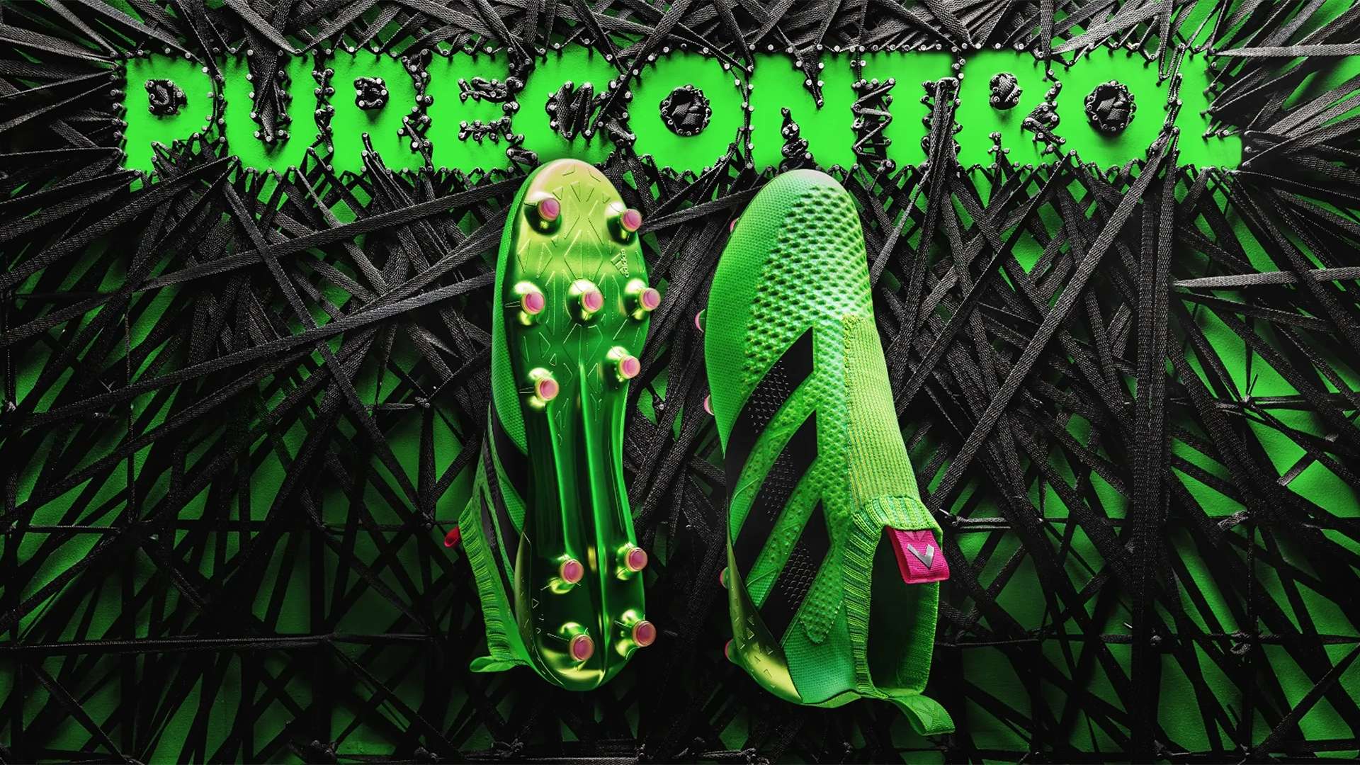 育場的亮點 育場的亮點